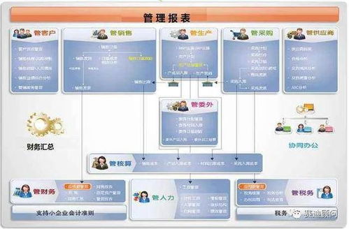 新的一年中国集团企业管理软件市场将何去何从,赛迪来支招